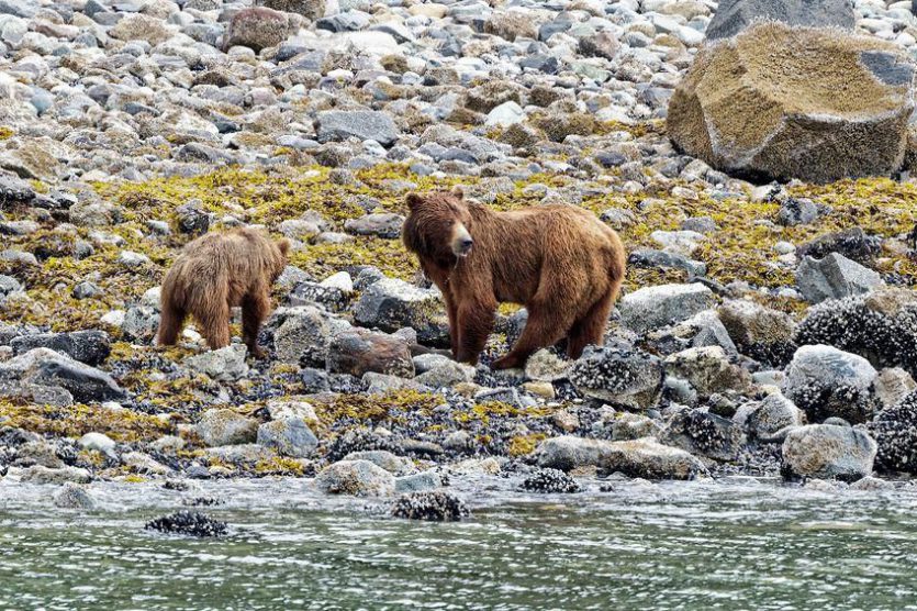 alaska urlaub