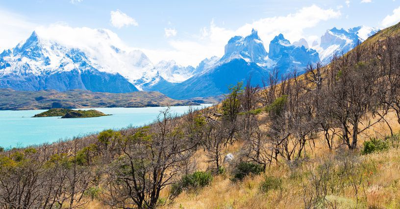 wie man nach torres del paine kommt