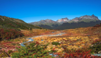 Kreuzfahrten in Patagonien: Folgen Sie den Spuren Darwins