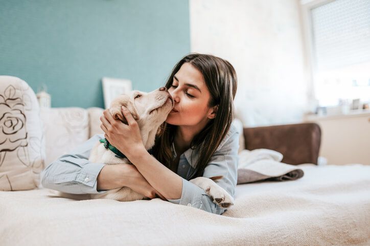 kurzreisen urlaub mit hund deutschland