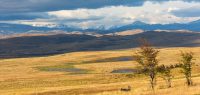 Alles über die Steppe in Südamerika