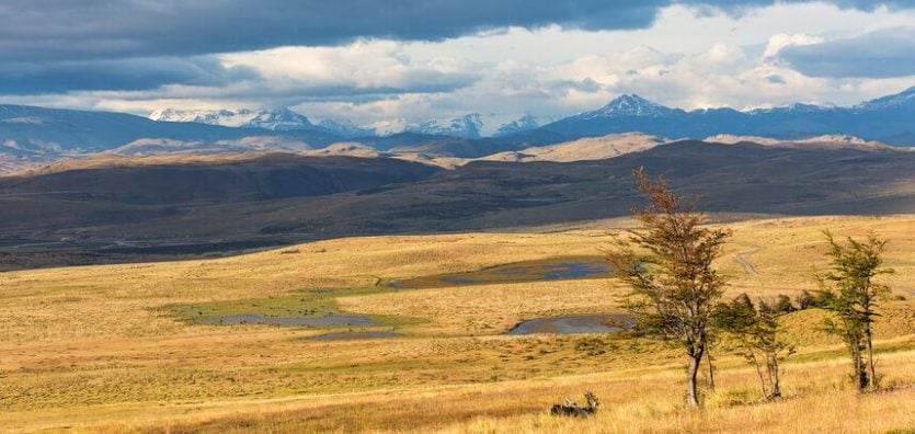 Steppe in Südamerika