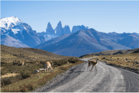 Reise von Puerto Natales bis El Calafate